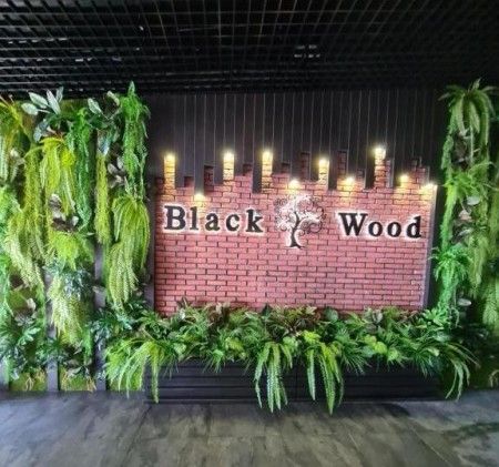 Black Wood
