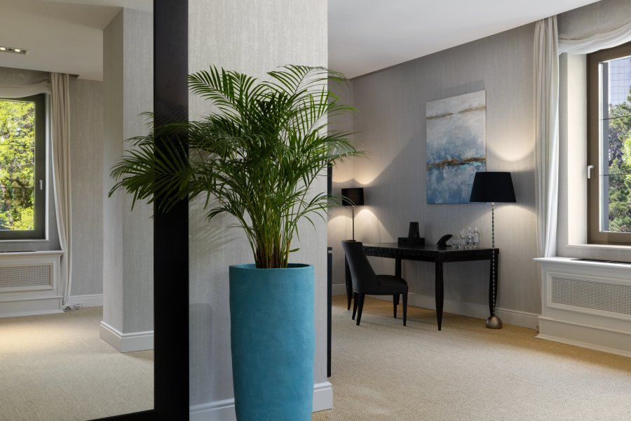 SUITE / Grand