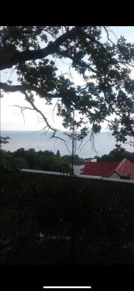 1-местный с балконом вид на море / Стандарт